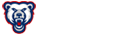 BEARS